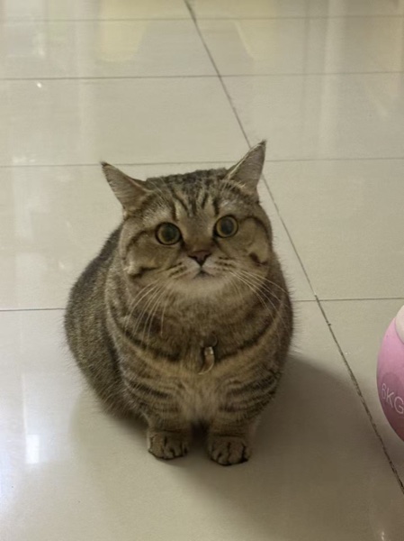 刘八月